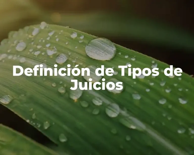 Definición de Tipos de Juicios