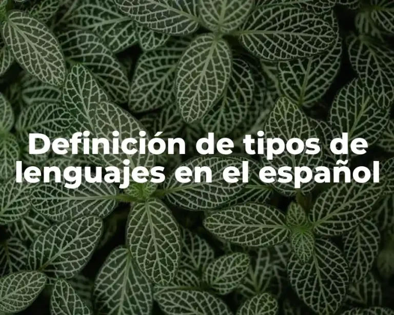 Definición de tipos de lenguajes en el español