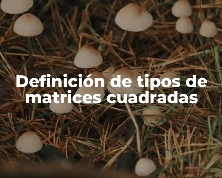 Definición de tipos de matrices cuadradas