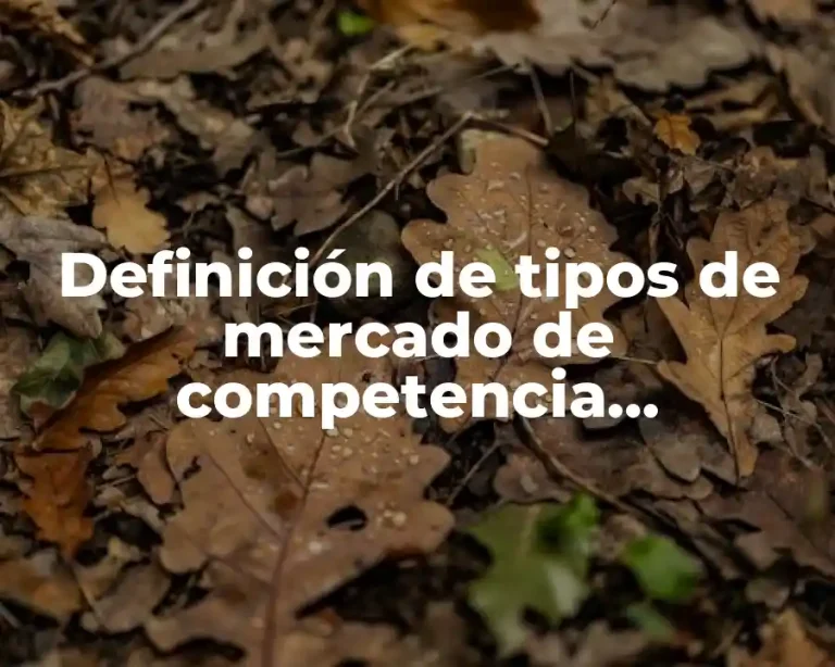Definición de tipos de mercado de competencia imperfecta