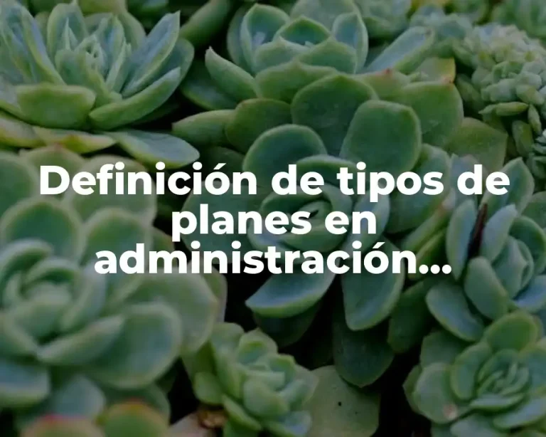 Definición de tipos de planes en administración estratégica