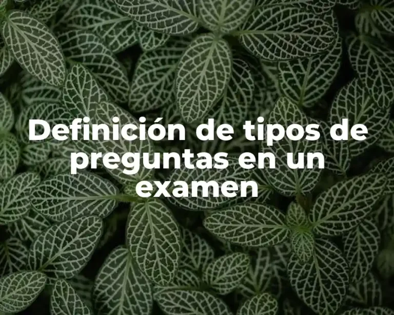 Definición de tipos de preguntas en un examen