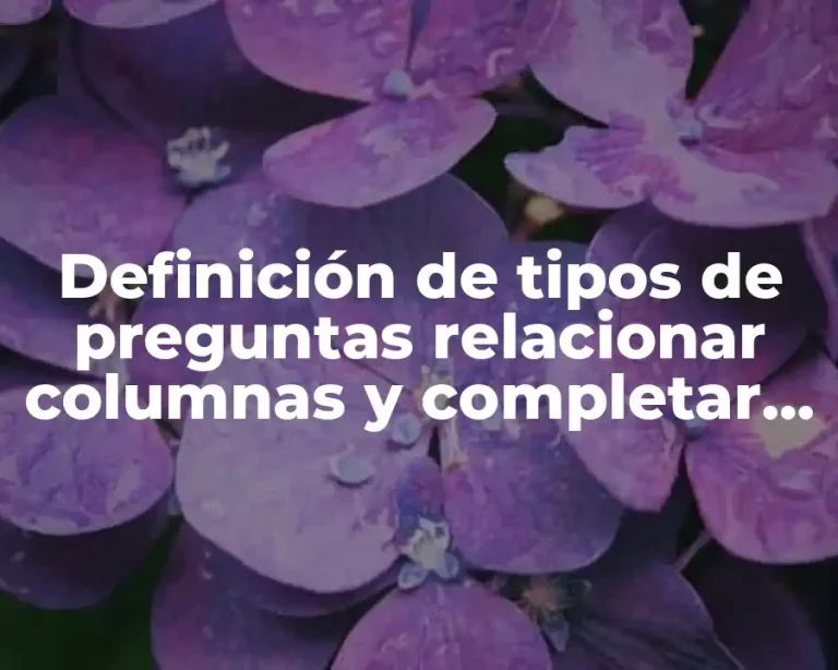 Definición de tipos de preguntas relacionar columnas y completar oraciones