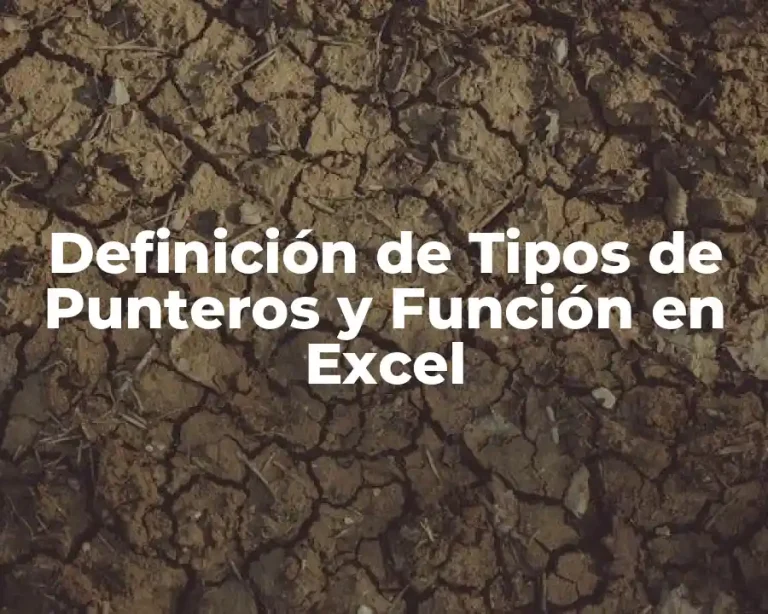 Definición de Tipos de Punteros y Función en Excel