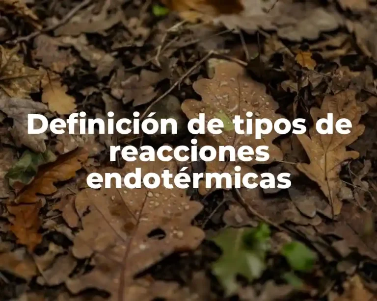 Definición de tipos de reacciones endotérmicas