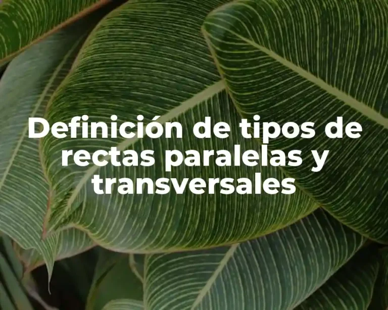 Definición de tipos de rectas paralelas y transversales