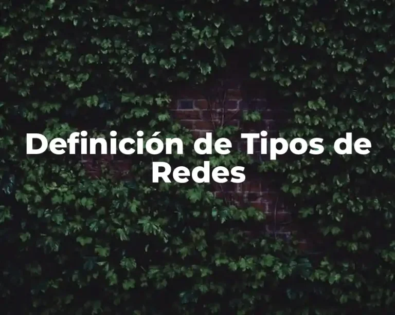 Definición de Tipos de Redes