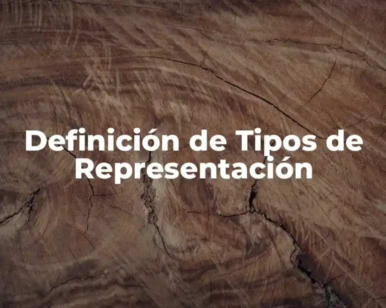 Definición de Tipos de Representación