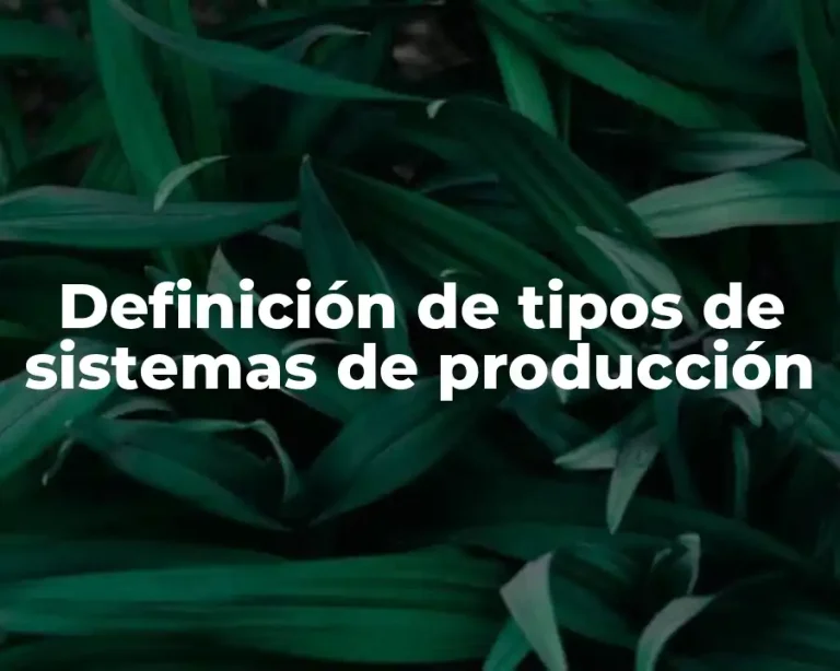 Definición de tipos de sistemas de producción