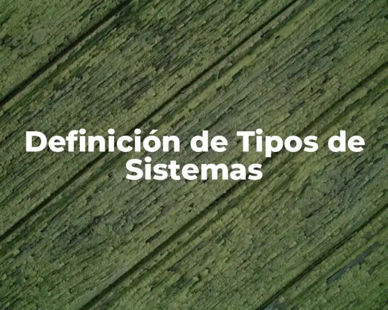 Definición de Tipos de Sistemas