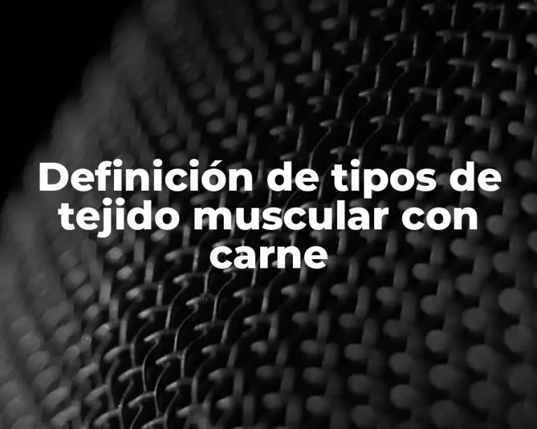 Definición de tipos de tejido muscular con carne