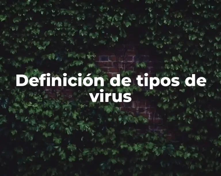 Definición de tipos de virus
