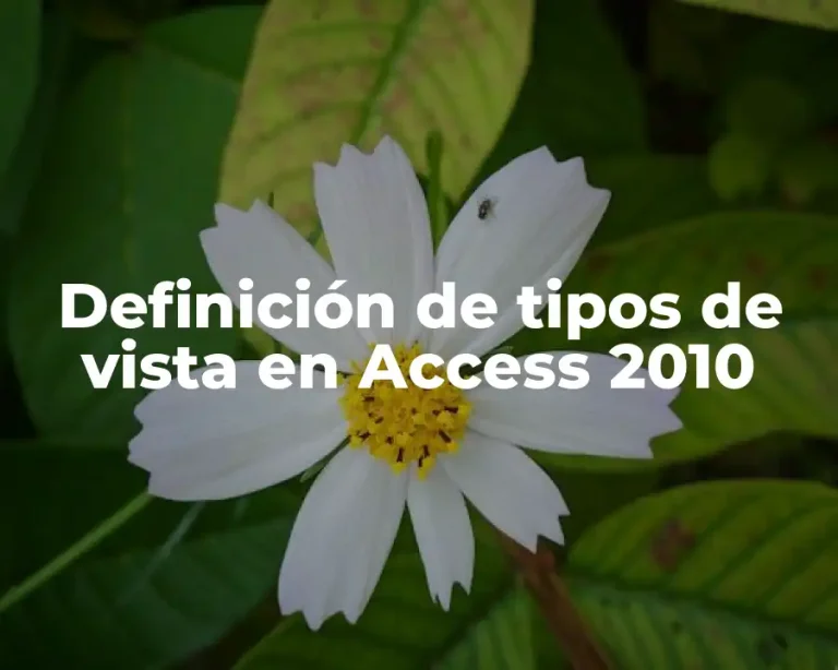 Definición de tipos de vista en Access 2010