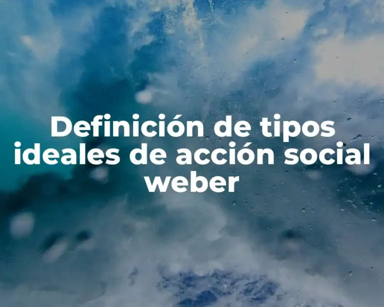Definición de tipos ideales de acción social weber