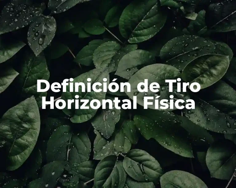 Definición de Tiro Horizontal Física
