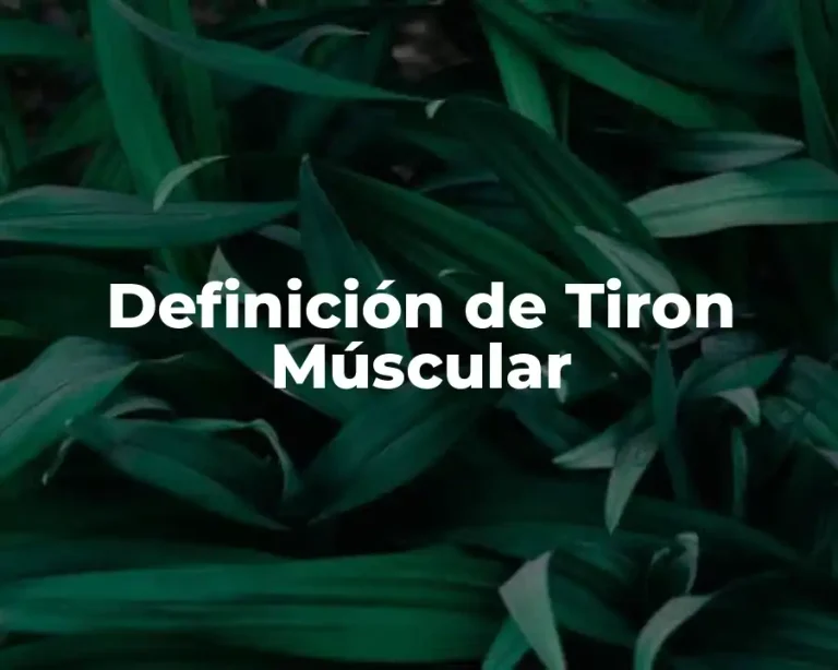 Definición de Tiron Múscular