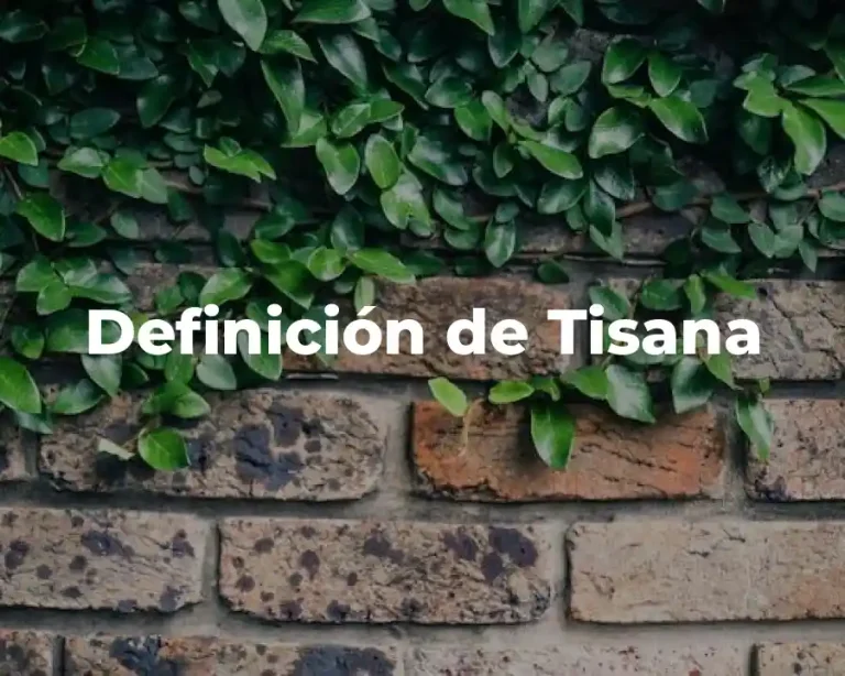 Definición de Tisana