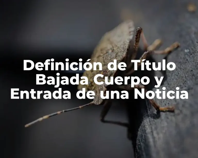 Definición de Título Bajada Cuerpo y Entrada de una Noticia