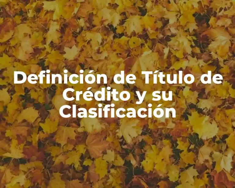 Definición de Título de Crédito y su Clasificación