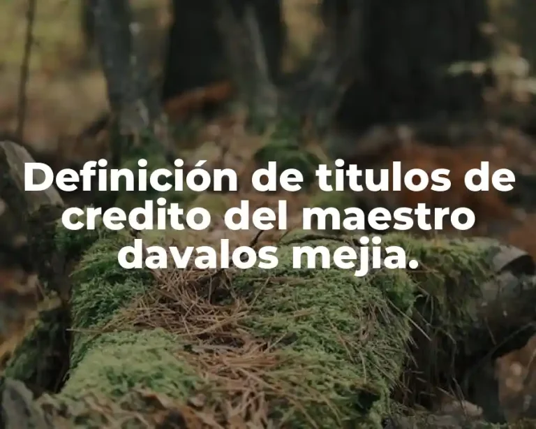 Definición de titulos de credito del maestro davalos mejia.