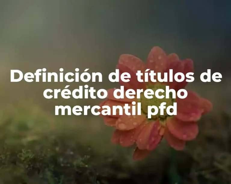 Definición de títulos de crédito derecho mercantil pfd