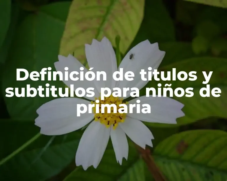 Definición de titulos y subtitulos para niños de primaria
