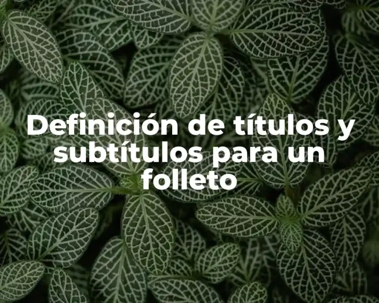 Definición de títulos y subtítulos para un folleto