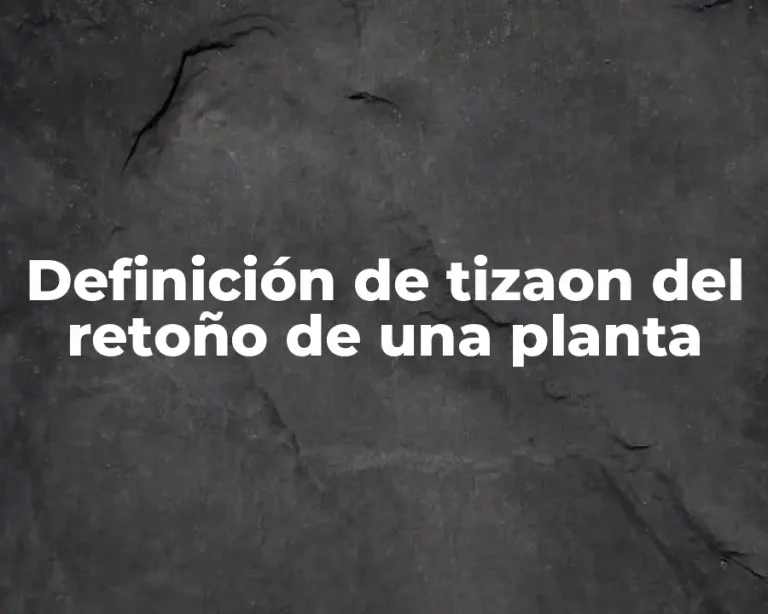 Definición de tizaon del retoño de una planta