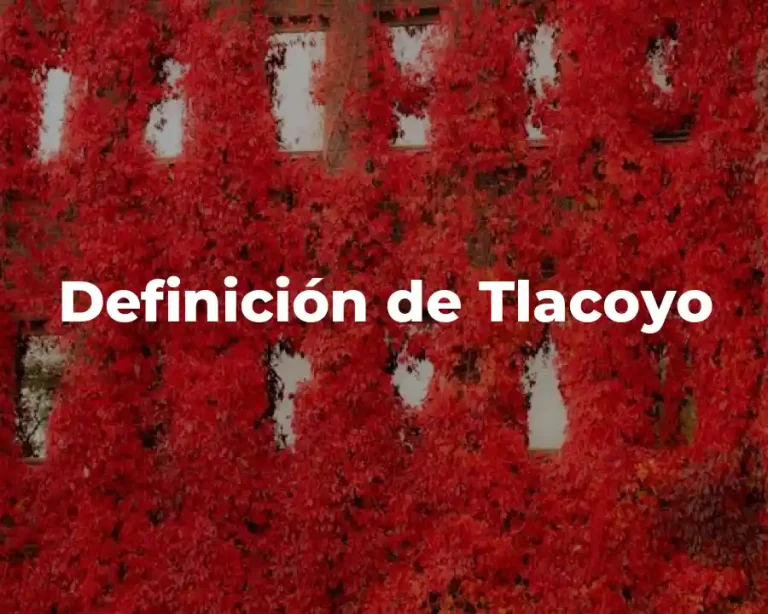 Definición de Tlacoyo