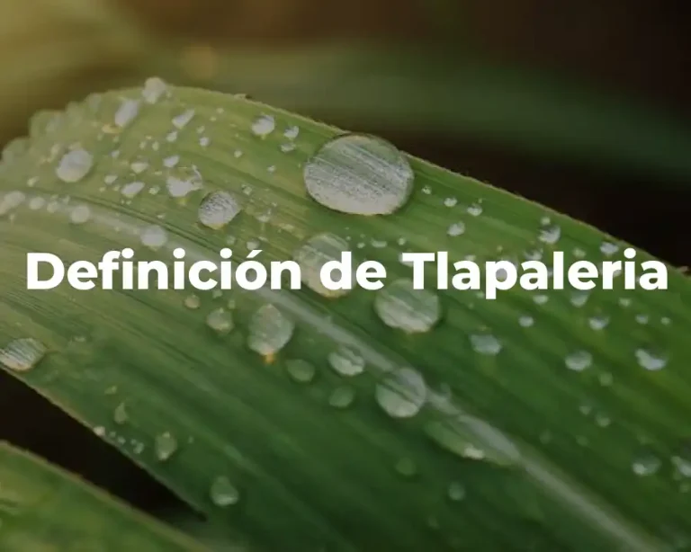 Definición de Tlapaleria
