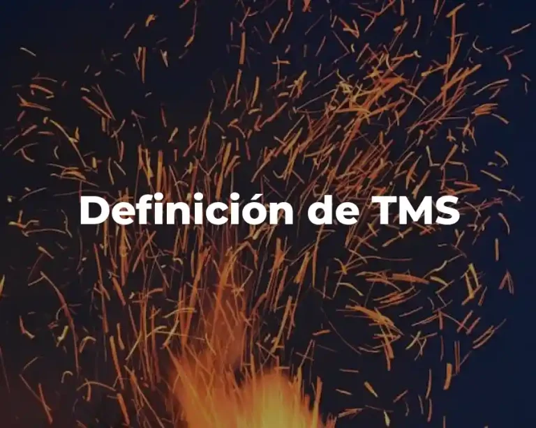 Definición de TMS