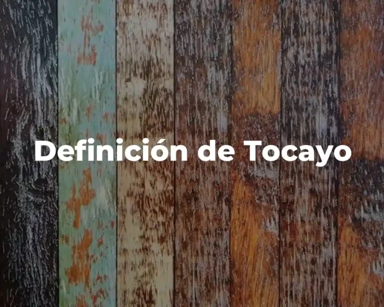 Definición de Tocayo