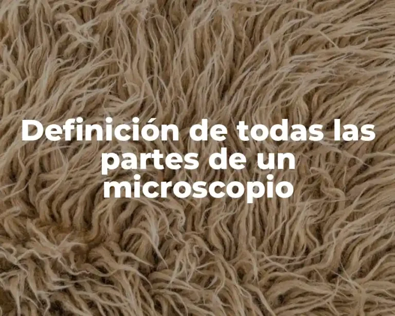 Definición de todas las partes de un microscopio