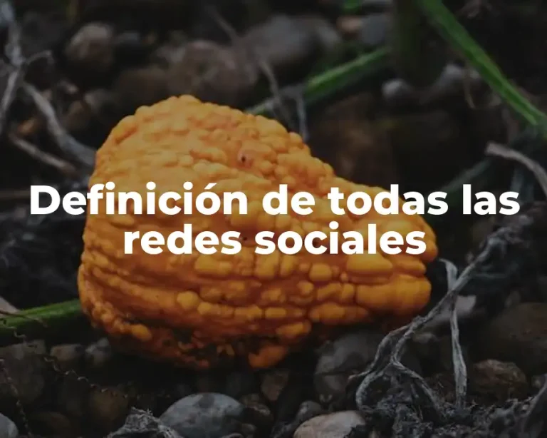 Definición de todas las redes sociales