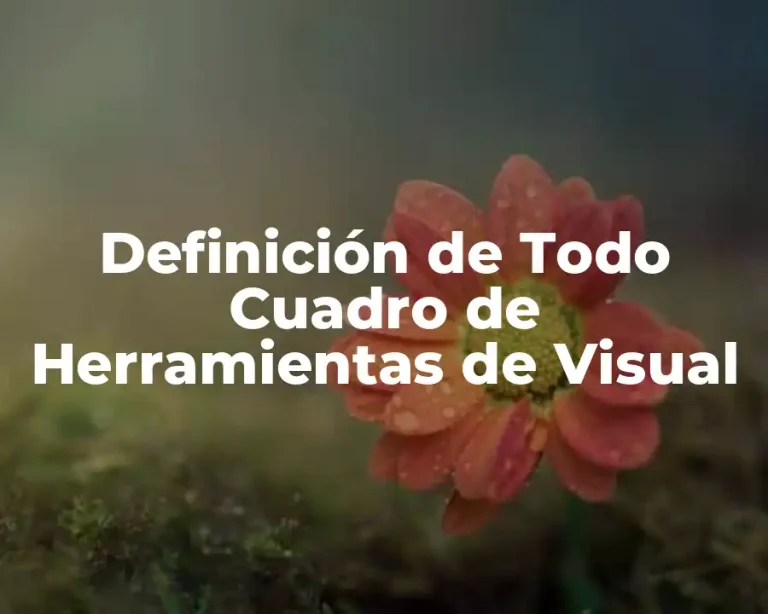 Definición de Todo Cuadro de Herramientas de Visual