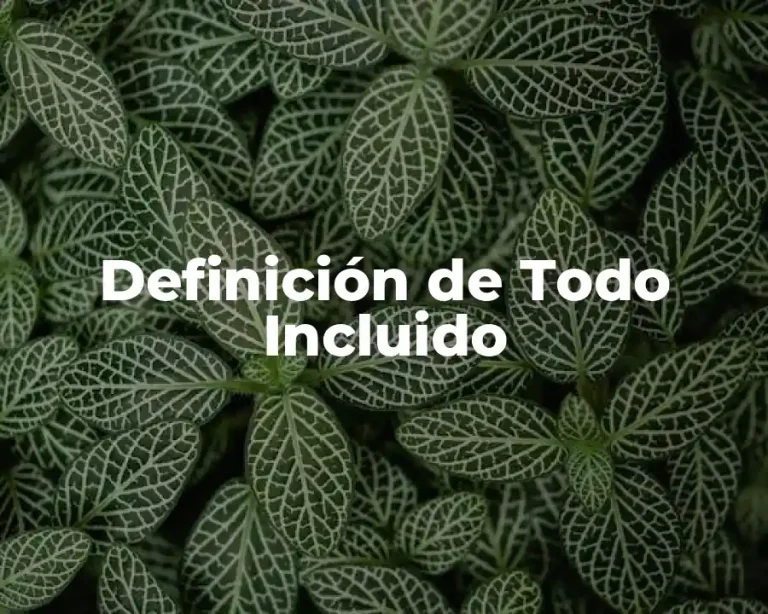 Definición de Todo Incluido