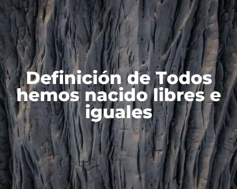 Definición de Todos hemos nacido libres e iguales