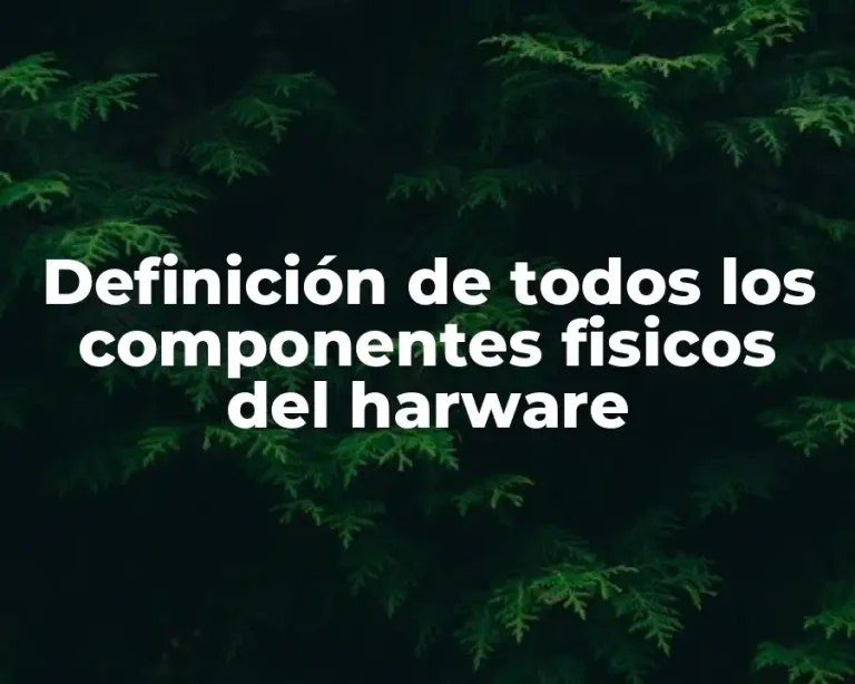 Definición de todos los componentes fisicos del harware