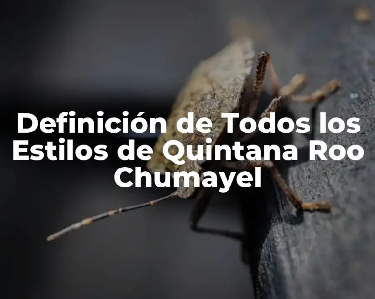 Definición de Todos los Estilos de Quintana Roo Chumayel