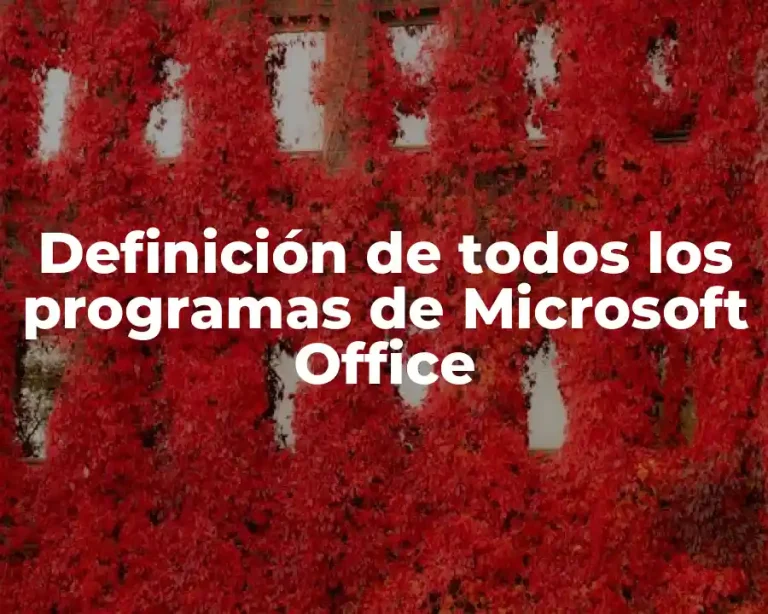 Definición de todos los programas de Microsoft Office