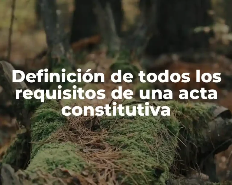 Definición de todos los requisitos de una acta constitutiva
