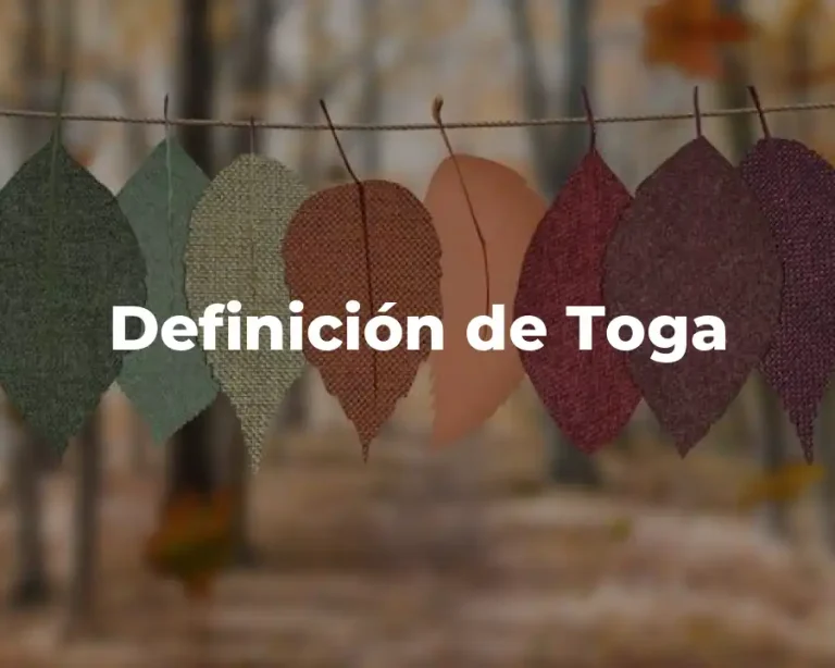 Definición de Toga