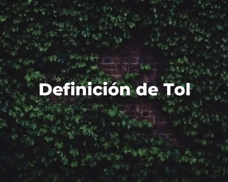 Definición de Tol