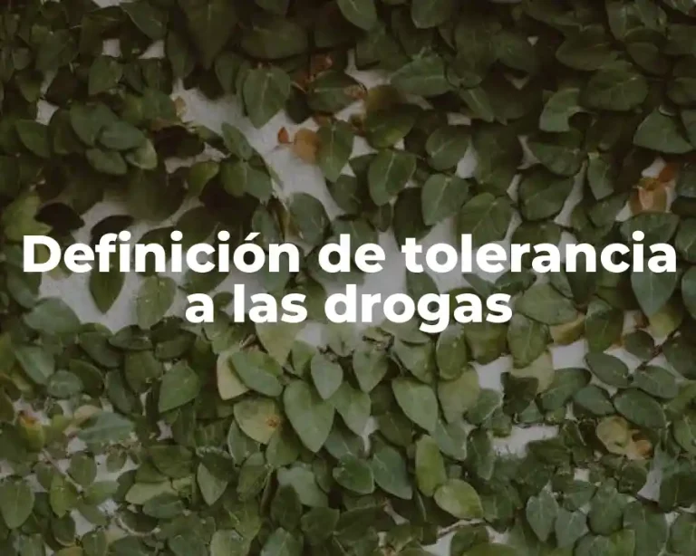 Definición de tolerancia a las drogas