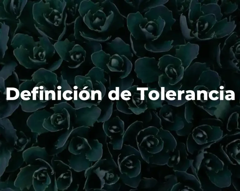 Definición de Tolerancia