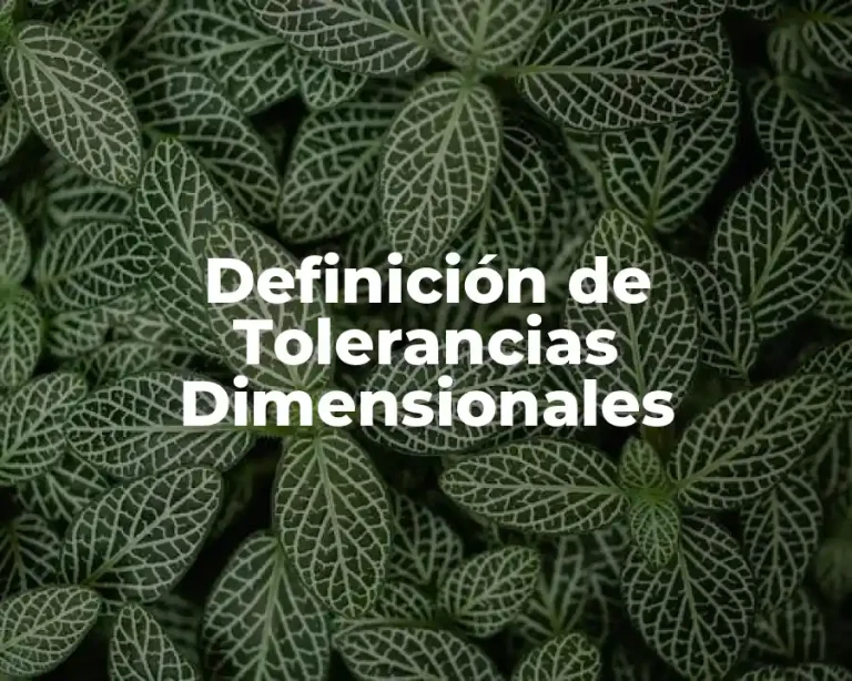 Definición de Tolerancias Dimensionales
