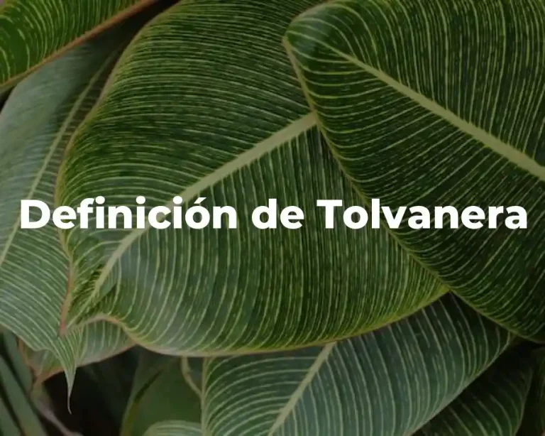 Definición de Tolvanera
