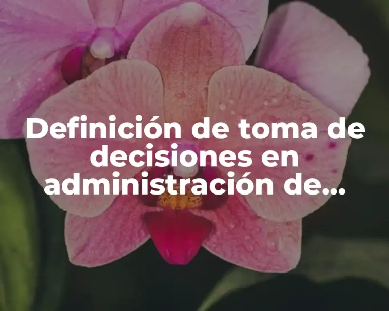 Definición de toma de decisiones en administración de costos