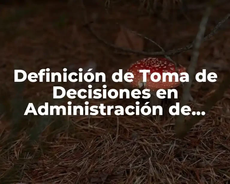 Definición de Toma de Decisiones en Administración de Empresas