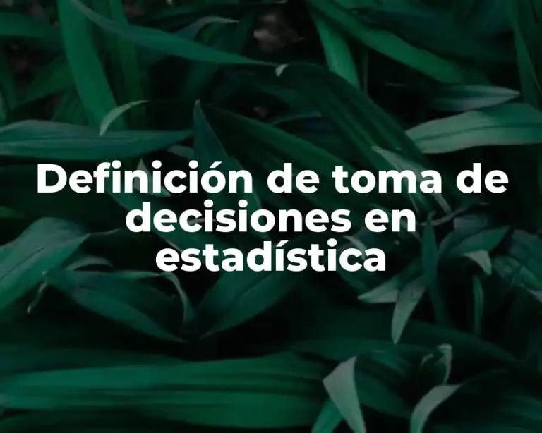 Definición de toma de decisiones en estadística